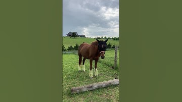 She got her bug gear on