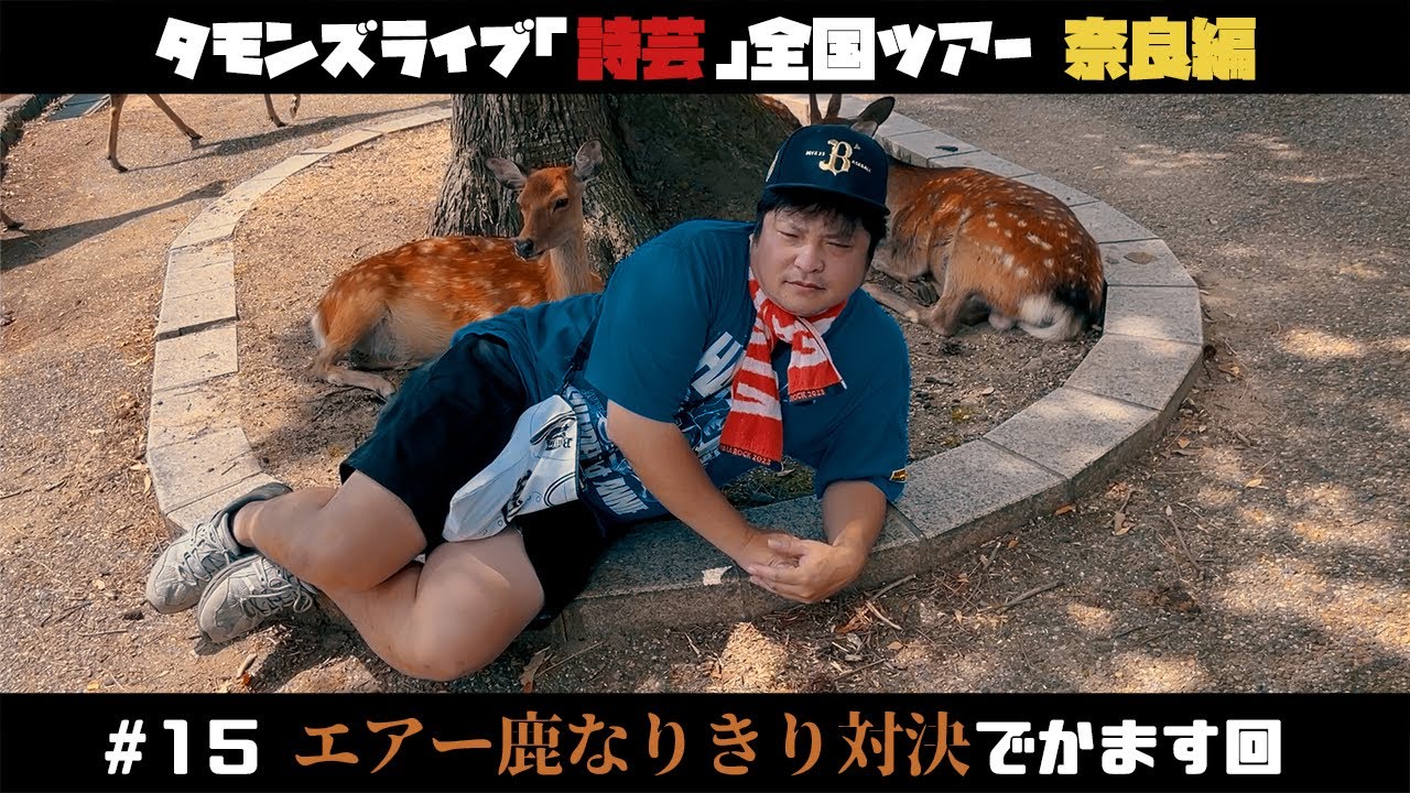 【 鹿 】奈良でランチ食べたあとに奈良公園で鹿と触れ合いました！