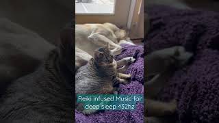 Reiki infused music for deep sleep #reiki #cats #dogs #dleep #asmr #binauralmusic Reiki infused music for deep sleep #reiki #cats #dogs #dleep #asmr #binauralmusic