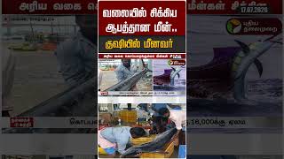 வலையில் சிக்கிய ஆபத்தான மீன்.. குஷியில் மீனவர் #shorts
