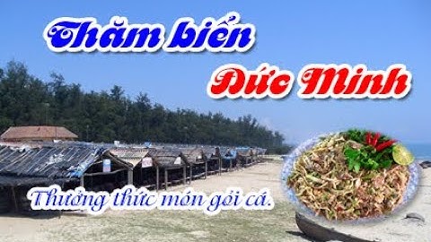 [4K]:[Quảng Ngãi Media] - THĂM BIỂN ĐỨC MINH - MỘ ĐỨC. THƯỞNG THỨC MÓN GỎI CÁ
