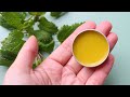 Easy lemon balm lip balm recipe lip salve for cold sores