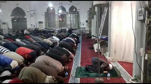 بتلاوة خاشعة وصوت عذب.. طفل يؤم المصلين في #التراويح بمسجد الروضة في ريف #إدلب