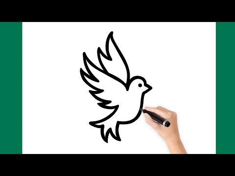 Vídeo: Como Desenhar Um Pássaro Voando