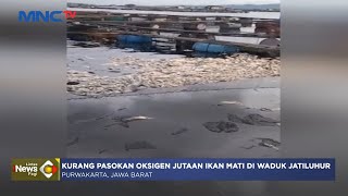 Jutaan Ikan di Waduk Jatiluhur Mati Akibat Tidak Adanya Matahari #LintasiNewsPagi 03/01