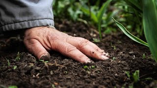 Homegrown | "I Love Farming": Extension and the Small Farmer