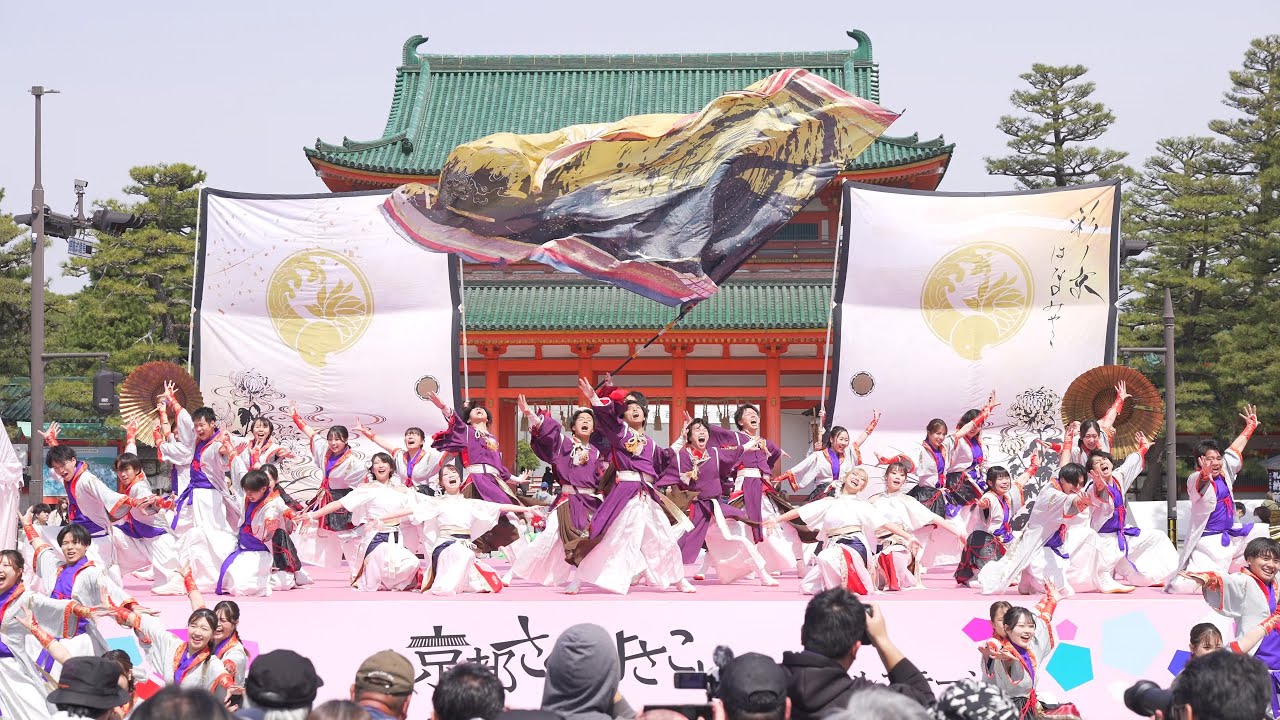 [4K] 彩ノ京 -ハナノミヤコ-　京都さくらよさこい 2025 さくよさ 土曜日 神宮道会場