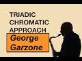 George garzone triadic chromatic approach improvisation principles