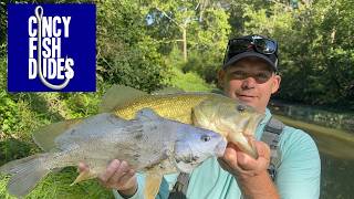 The Many Species of the Little Miami River System