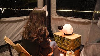 [108] Solo car camping with cats | Relaxing | ASMR | Soothing | Vlog