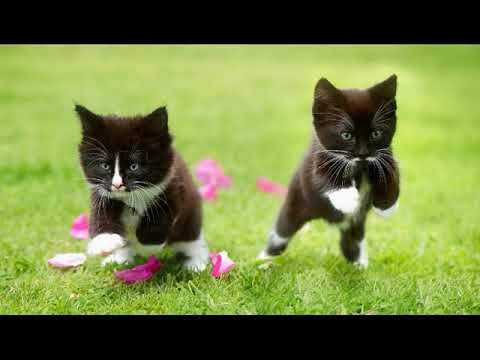 غير وحدي مدمر نبغي نسكر عليها نهدر قنبلة راي 2020 