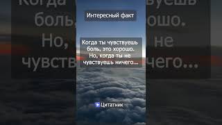 #Цитаты #Цитата #Цитатник #Цитатысосмыслом #Цитатадня