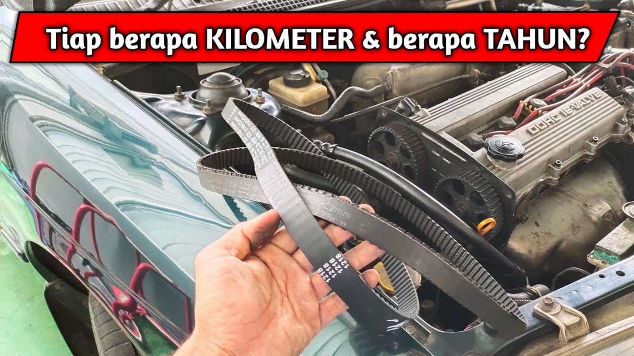 Waktu Penggantian TIMING BELT Mesin diesel dan bensin. YouTube