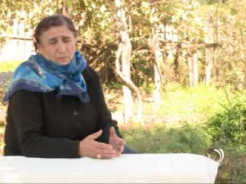 ეკომიგრანტები  20 11 2014