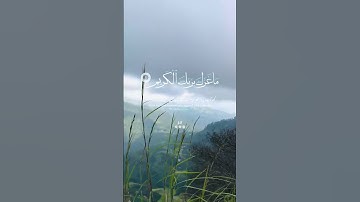 صوت سماوي يريح القلب والروح – تلاوة نادرة للشيخ محمد صديق المنشاوي