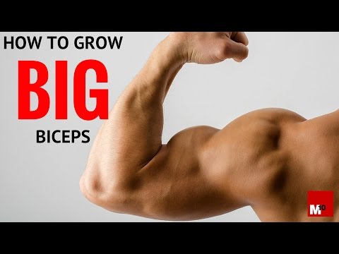How To Grow Big Biceps