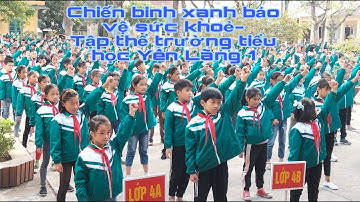 Chiến binh xanh lời 2- Trường tiểu học Yên Lãng 1