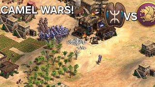 Camel Wars! Berbers vs Persians screenshot 5