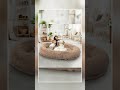 Human & Dog Bed Fits Adult People: Washable, Customized