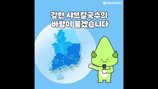 춥고, 비오고, 눈오고, 이럴때는 따끈하고 칼칼한 일조얼큰샤브칼국수