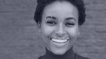 USE CASE Computer Vision - Keypoint Annotation Face