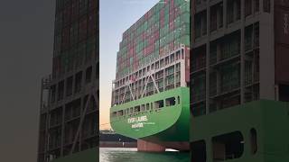 How One Ship Blocked Global Trade? #shorts