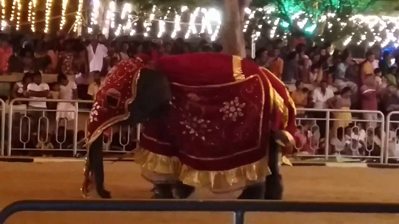 srilanka kathirkamam parera