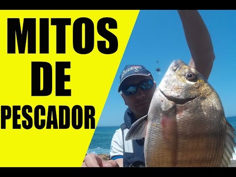 Vídeo: Como Pescar Na Primavera: O Segredo Do Pescador Em