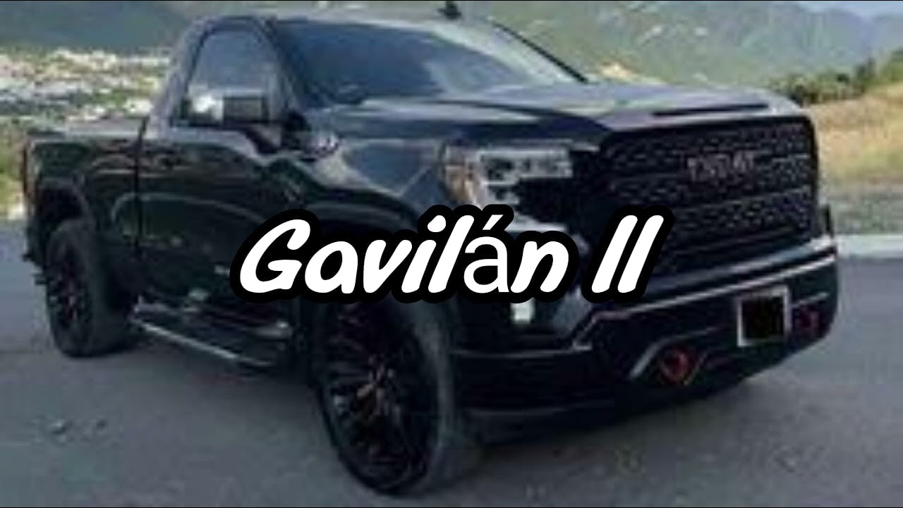 Gavilan ll: Peso Pluma, Tito Double P, Xavi, Dareyes De La Sierra,  Juanpa Salazar, Tony Aguire 2024