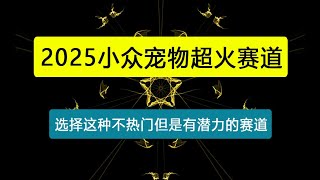 小众宠物超火赛道,小白也可以月入1w+