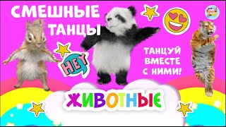 Учим ЖИВОТНЫХ для детей / Смешные и веселые танцы / Развивающие Мультики для малышей