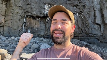 These Ancient Cliffs Are FULL Of Weird Creatures!