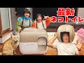 ルイモカは気に入ってくれる 最新猫トイレ購入PetSnowy Himawari CH ルイモカは気に入ってくれる 最新猫トイレ購入PetSnowy Himawari CH