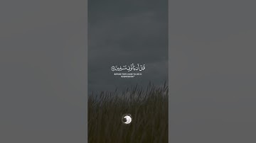 ارجع إليهم فلنأتينهم بجنود لا قبل لهم بها 🌿 سورة النمل 🌿 حالات واتس اب قران 🌿 القارئ #ياسر_الدوسري 🌿