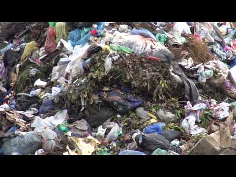 ღია ტიპის ნაგვსაყრელი   დასახლებულ პუნკტთან ახლოს