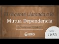 El Urgente Llamado a la Mutua Dependencia - Parte III | 1 Corintios 12:20-31