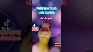 papel de parede para sua tela de bloqueio!!!💟#tiktok #shorts screenshot 1