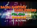 Vita Alvia - Bagai Ranting Yang Kering Remix [karaoke] || sx-KN7000