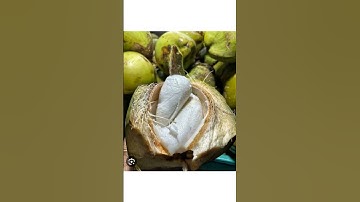 Logo Design #logodesigns #Shorts #ytshorts #viral #viralvideo #youtubeshorts #logo #art #logodesigns