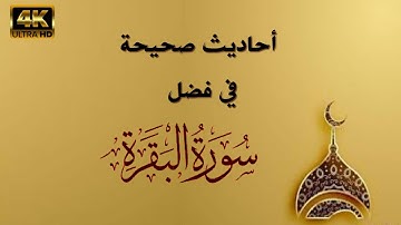 سورة البقرة - أحاديث صحيحة في فضل سورة البقرة رابط سورة البقرة كاملة مكتوبة العجمي في صندوق الوصف4k