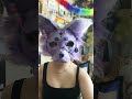 Ah-hah I got these b mad again :: #lipsync #therian #furry #otherpaw #fyp