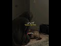 Ummid Kabhi Mat Chhodna | Allah Par Bharosa Rakho ❤️
