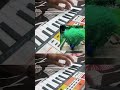 Keertan Vibes | Spiritual Vibration
