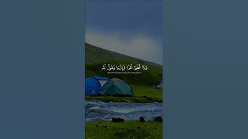 #قران_كريم #quran #ماهر_المعيقلي #تلاوة_خاشعة #quran_kareem #قرآن #foryou #explore #اكسبلور