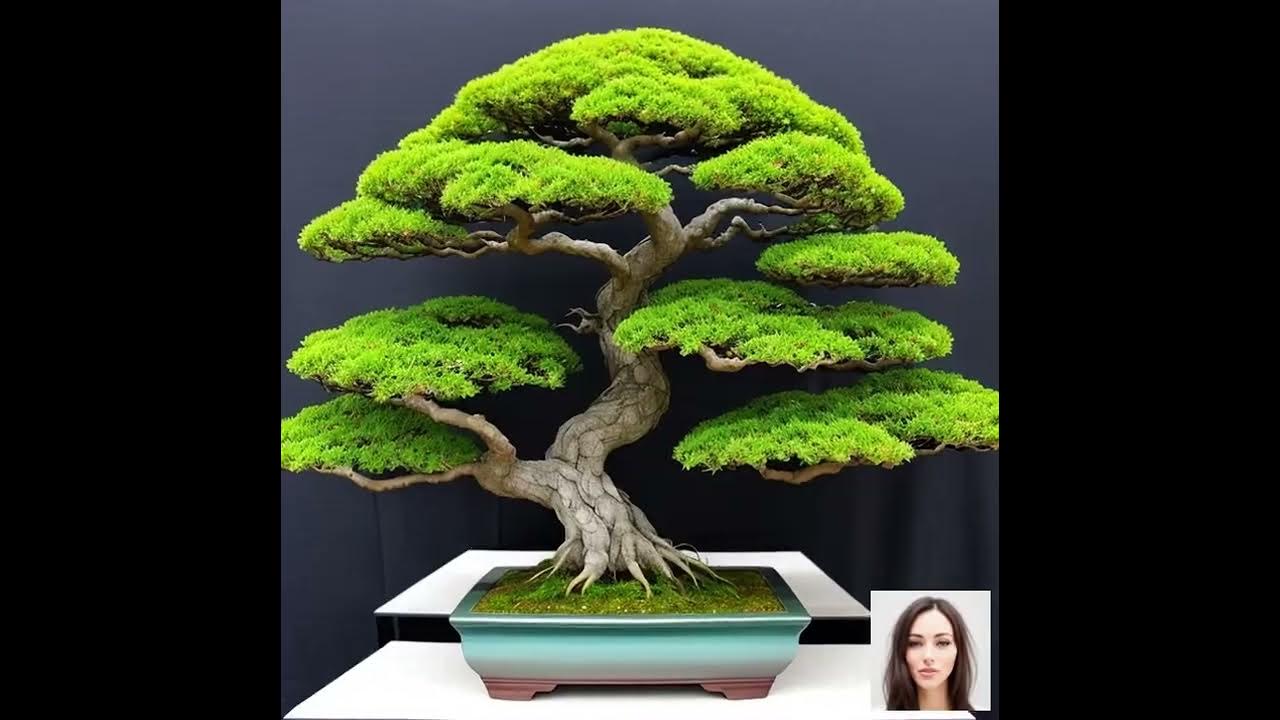 Master the Art of Bonsai Essential Tools, Techniques & Comprehensive