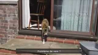 Лучшие приколы youtube 2014. Лучшие приколы youtube 2014.