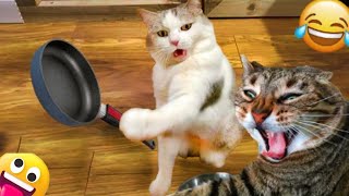 【面白い動画】 かわいい猫 - かわいい犬 - 最も面白いペットの動画 #24