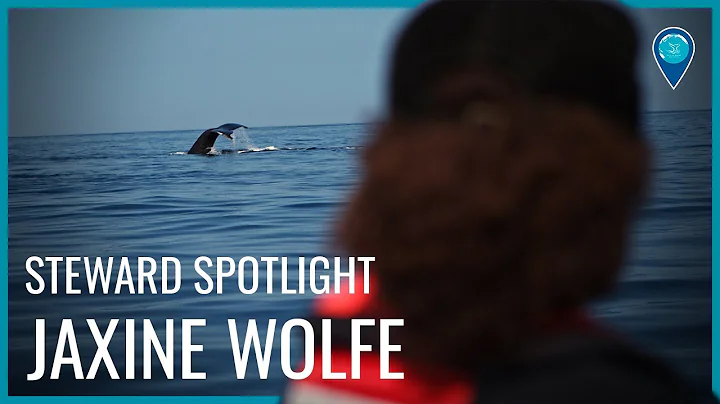 Steward Spotlight: Jaxine Wolfe