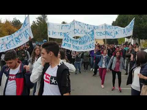 Protest la Liceul Odobleja2