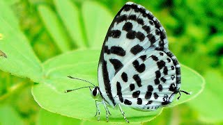 Photography With By Coolpix s2800 | Sudipta Satpati
